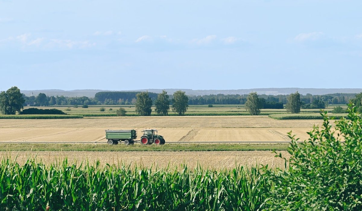 Making the Most of a Rural Weekend